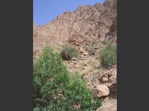 yazd: mit iran erlebnis reisen